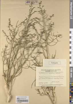 LE 01248208
