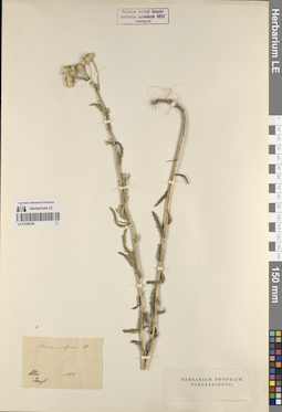 LE 01248336