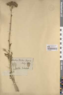 LE 01248345