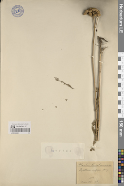 LE 01248402