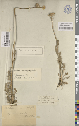 LE 01248445