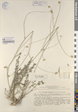 LE 01248501