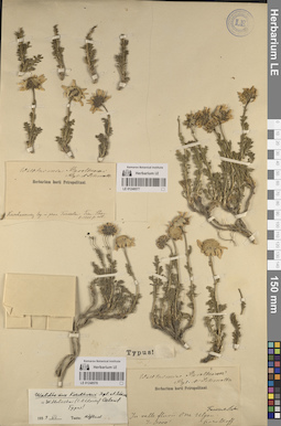 LE 01248577