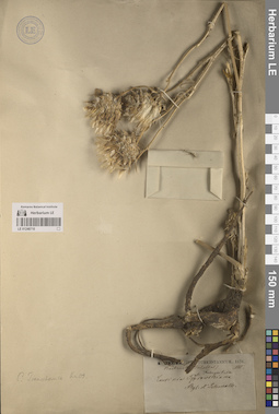 LE 01248710