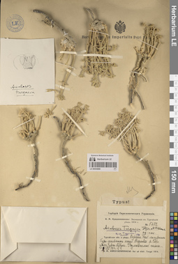 LE 00054888