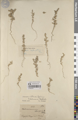 LE 00053789
