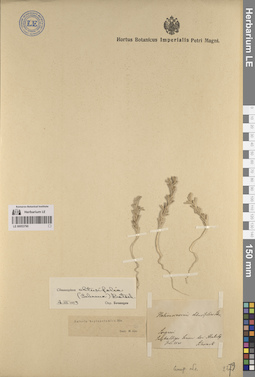 LE 00053790