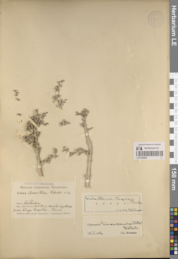 LE 01248903