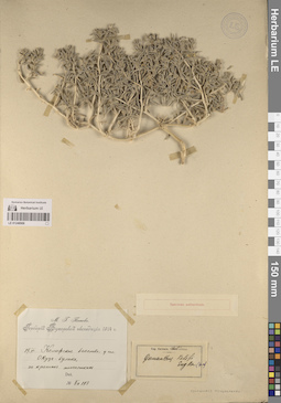 LE 01248906