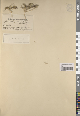 LE 01248915