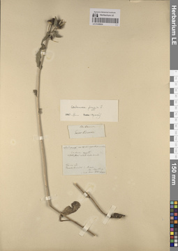 LE 01246924