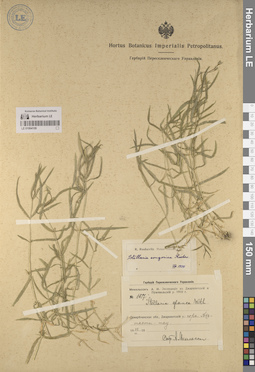 LE 01064109
