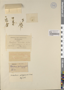 LE 01248994