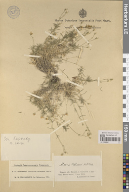 LE 01260042