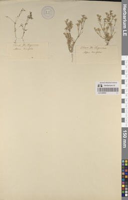 LE 01260053