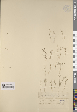 LE 01260055