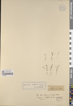 LE 01260056