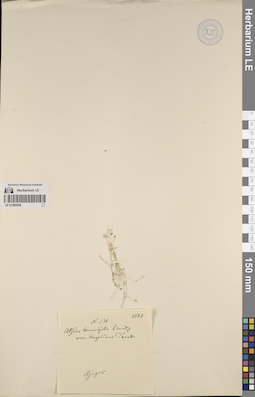 LE 01260059