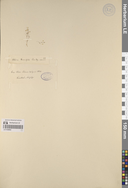 LE 01260062