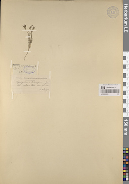 LE 01260069