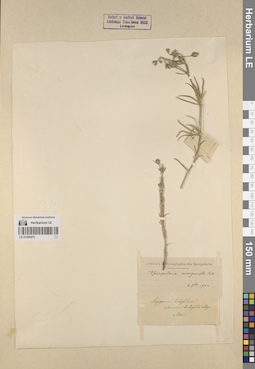 LE 01260070