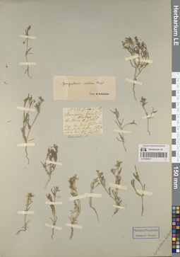 LE 01260071