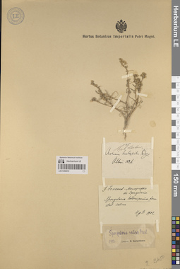 LE 01260072
