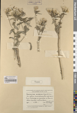 LE 01260115