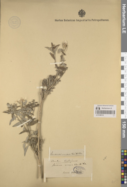 LE 01260118