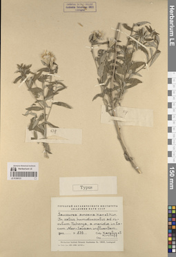 LE 01260121
