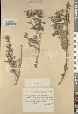 LE 01260122