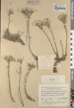 LE 01260158