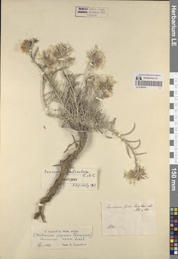 LE 01260161