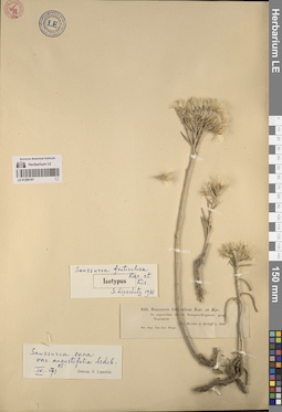 LE 01260167