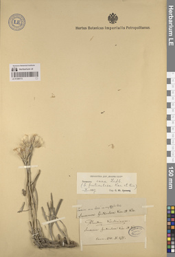 LE 01260172