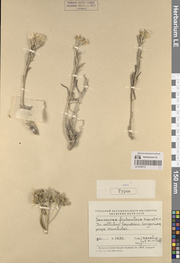 LE 01260173