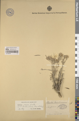 LE 01260176