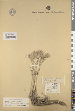 LE 01260177