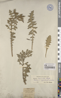 LE 01260187