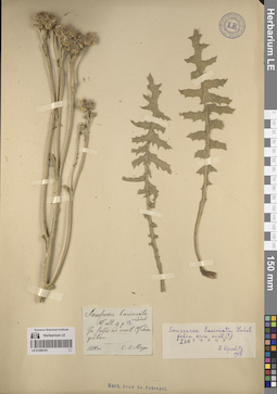 LE 01260191