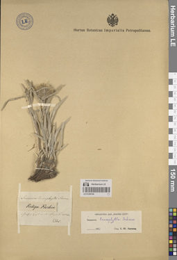 LE 01260194