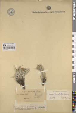 LE 01260195