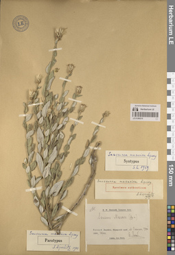 LE 01260215