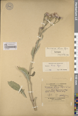 LE 01260221