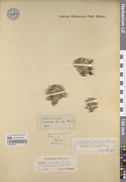 LE 01260222
