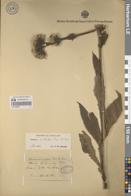 LE 01260263