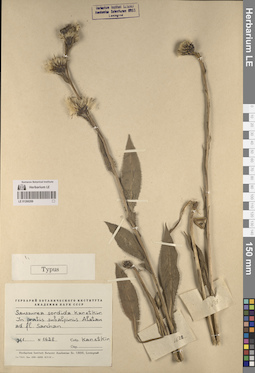 LE 01260269