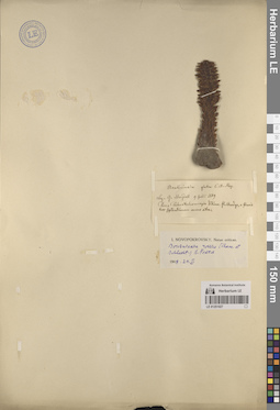 LE 01251027