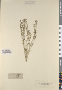 LE 01260316
