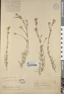 LE 01260327